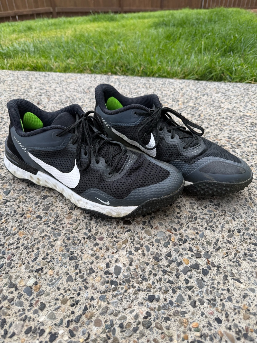 Nike Baseball Turf Shoes